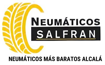 neumaticosalfran.com